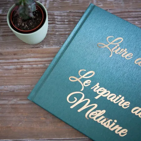 Le Repaire De Melusine - De Charme Et 住宿加早餐酒店 Sainte-Marie-Cappel