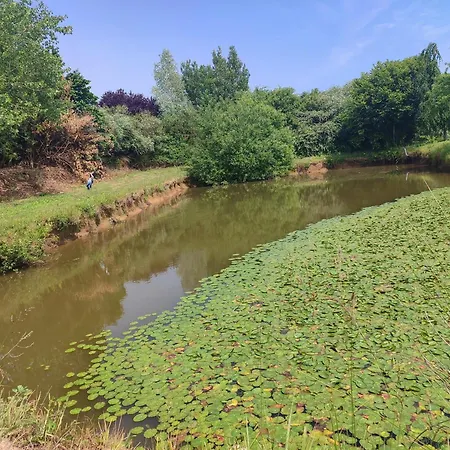 住宿加早餐酒店 Le Repaire De Melusine - De Charme Et 3*